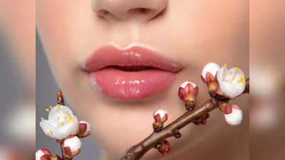 Lip Balm विंटर में आपके फटे होंठ को करेंगे रिपेयर, मिलेगें सॉफ्ट और खूबसूरत लिप्‍स