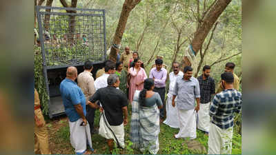 പുലിയെ ഇനി പറന്ന് കണ്ടെത്തും, കലഞ്ഞൂരിലെ പുലിയ കണ്ടെത്താൻ ഡ്രോൺ