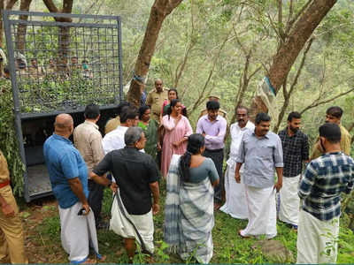 പുലിയെ ഇനി പറന്ന് കണ്ടെത്തും, കലഞ്ഞൂരിലെ പുലിയ കണ്ടെത്താൻ ഡ്രോൺ