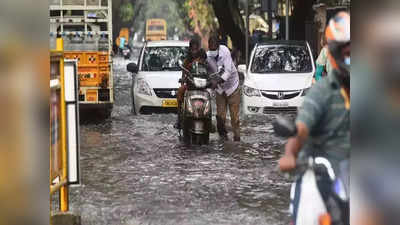 Tamil Nadu: మాండూస్‌ ఎఫెక్ట్‌... తమిళనాడులో భారీ వర్షాలు... నేల కూలిన 200కుపైగా చెట్లు