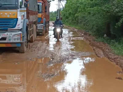 திருவாரூர் வேலைவாய்ப்பு அலுவலக சாலையின் அவலம் - இதற்கு விடிவு காலம் எப்போது?