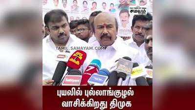 தேர்தலில் தனித்து போட்டியிட தயாரா என ஸ்டாலினுக்கு சவால் விடுத்தார் ராஜன் செல்லப்பா