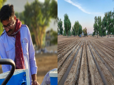 रेगिस्तान की धरती उगलेगी सोना , दुनियाभर के लोग खाएंगे यहां के बने आलू के फ्रेंच फ्राइज !