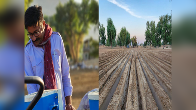 रेगिस्तान की धरती उगलेगा सोना , दुनियाभर के लोग खाएंगे यहां के बने आलू के फ्रैचफ्राइज