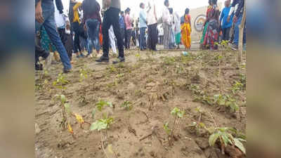 एकनाथ शिंदे सभेत म्हणाले, समृद्धी महामार्गावर ३५ लाख झाडं लावू, लोकांनी बाहेर पडताच सर्व रोपं तुडवली