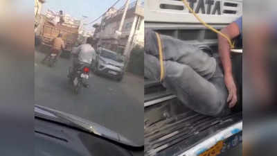 Punjab News: युवक को ट्रक के बोनट से बांधा, फिर ले जाया गया थाने... दो बोरी गेहूं चोरी का आरोप