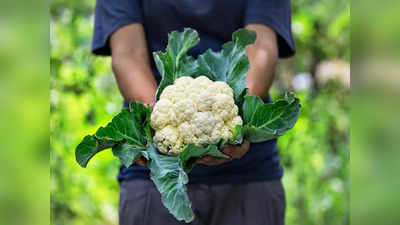 Benefits Of Cauliflower: শীতের বাজারে সস্তার ফুলকপি স্বাস্থ্যের পক্ষে উপকারী, বহু রোগ কাছে ঘেঁষে না