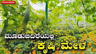 ಮಂಗಳೂರು: 100 ಬಗೆಯ ತರಕಾರಿಗಳ ಅತ್ಯಾಕರ್ಷಕ ತೋಟ, ಕಣ್ಮನ ಸೆಳೆಯುತ್ತಿದೆ ಹೂದೋಟ