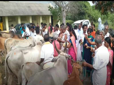 மோடி மீண்டும் பிரதமராக வேண்டி கோபூஜை... கரூரில் தான் இப்படி!