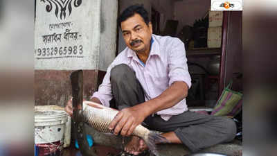 Trinamool Congress : Trinamool Congress : ব্যবসা না করলে খাব কী? মাছ বিক্রি করে পঞ্চায়েতে যান কর্মাধ্যক্ষ