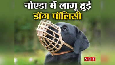 New Dog Policy: 31 जनवरी तक रजिस्‍ट्रेशन नहीं तो हर महीने 2000 का जुर्माना, नोएडा में आज से नई डॉग पॉलिसी