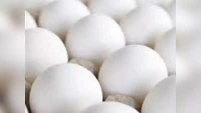एयरफोर्स के मेस में जा रहे 4000 अंडों को लेकर गायब हो गया ऑटो ड्राइवर, ढूंढ रही है पुलिस