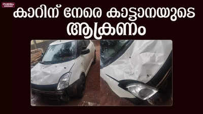 നാടുകാണി ചുരത്തിൽ കാട്ടാന ആക്രണം; കുടുംബം രക്ഷപ്പെട്ടത് തലനാരിഴക്ക്