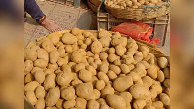 Today Market Price: শীতের কাঁপুনিতে হাফ দামে বিকোচ্ছে কড়াইশুঁটি, সস্তা আলুও