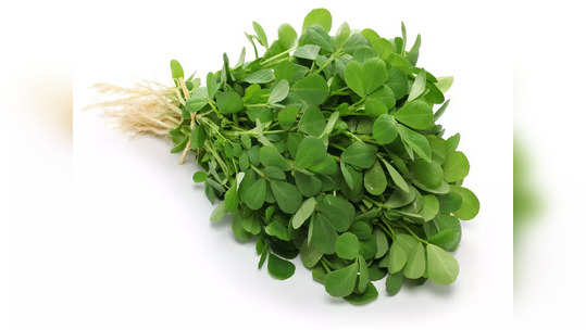 Fenugreek Leaves Health Benefits: ఈ సీజన్‌లో బరువు కంట్రోల్‌లో ఉండాలంటే.. ఈ ఆకుకూర కచ్చితంగా తినాలి..! 