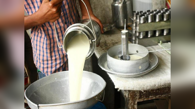 दुग्धशाळेच्या दूध वितरणाचा टक्का शून्यावर; शासकीय दुग्धशाळेत प्रशासकीय उदासीनता