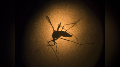 Zika Virus- ರಾಯಚೂರಲ್ಲಿ ಝಿಕಾ ವೈರಸ್ ಪತ್ತೆ: ಮನೆ ಮನೆ ಆರೋಗ್ಯ ಸಮೀಕ್ಷೆ