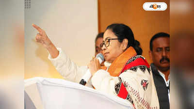 Mamata Banerjee Meghalaya : কেন গোয়ায় ব্যর্থ তৃণমূল? ব্যাখ্যা দিলেন মমতা বন্দ্যোপাধ্যায়