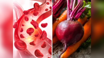 Food to Clean Blood: এই ৫ খাবার সমস্ত ময়লা শুষে রক্ত পরিষ্কার করে, প্রতিটি অঙ্গই পাবে নতুন জীবন