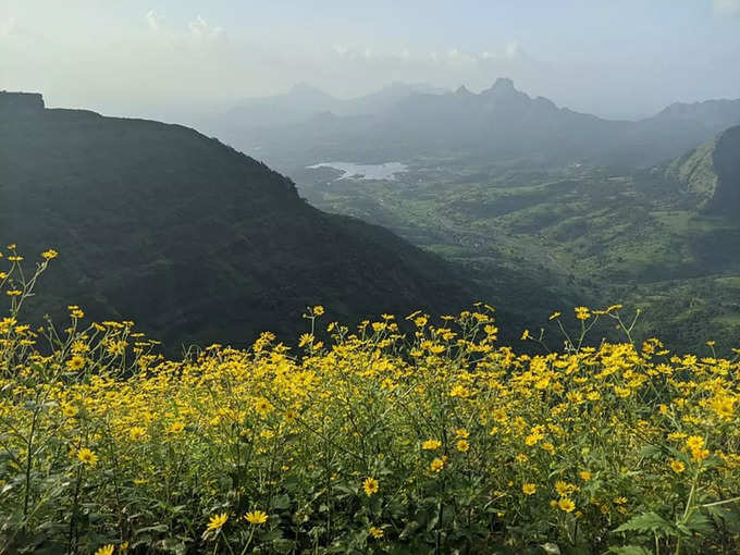 ಮಾಥೆರಾನ್‌