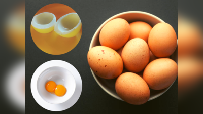 Egg Yolk Benefits: खराब समझकर फेंक देते हैं अंडे का पीला भाग? AIIMS के डॉ ने बताया जर्दी के चौंकाने वाले फायदे