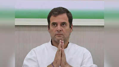 राहुल गांधी अमेठी से ही लड़ेंगे 2024 का लोकसभा चुनाव... कांग्रेस नेता अजय राय का दावा