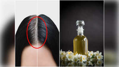 Henna Oil For Hair: পাকা চুল বারবার রং করার দিন অতীত, ঘরে তৈরি এই তেল ঠিক ৩ দিন লাগালেই ম্যাজিক হবে