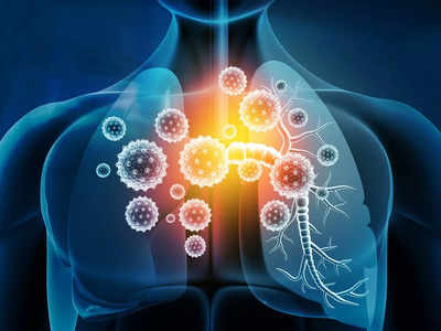 Food to Clean Lungs: ফুসফুস থেকে সব ময়লা টেনে বের করে দেবে গুড়, ডায়েটিশিয়ান জানালেন খাওয়ার উপায়