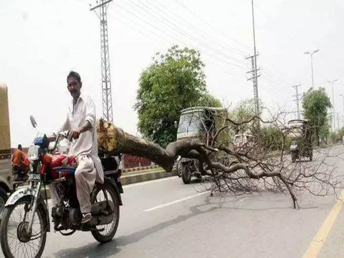 भाईजान कहां?