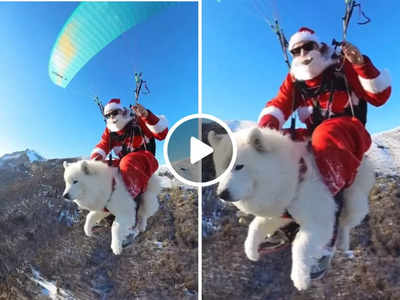 क्रिसमस फीवर: कुत्ते पर बैठकर सेंटा क्लॉज ने की पैराग्लाइडिंग, बेहतरीन वीडियो वायरल