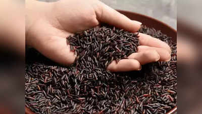 Black Rice Benefits: ആരോഗ്യത്തിന് ഏറ്റവും നല്ലത് ബ്ലാക്ക് റൈസ്