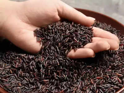 Black Rice Benefits: ആരോഗ്യത്തിന് ഏറ്റവും നല്ലത് ബ്ലാക്ക് റൈസ്