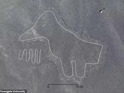 Nazca Geoglyphs: बिल्‍ली, सांप, व्‍हेल...पेरू में 160 रहस्‍यमय आकृतियों की खोज, क्‍या एलियन ने बनाई है निशानी ?