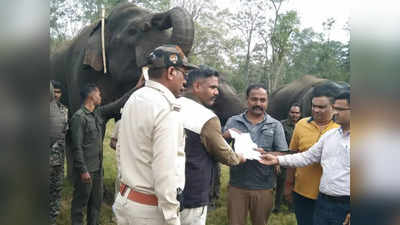 1600 किमी का सफर, हर दिन साढ़े सात घंटे की ट्रेनिंग... अब टनाटन हिंदी समझ रहे हैं ये हाथी