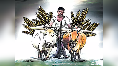 सरकारचा शेतकऱ्यांना मदतीचा हात; भरपाई प्रतिहेक्टर दुपटीने वाढ करण्याचा निर्णय