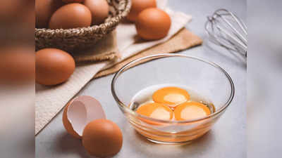 अंड्याच्या पिवळ्या बलकाने घाणेरडं कोलेस्ट्रॉल होतं कमी, AIIMS च्या डॉक्टरांनी सांगितले चकित करणारे फायदे