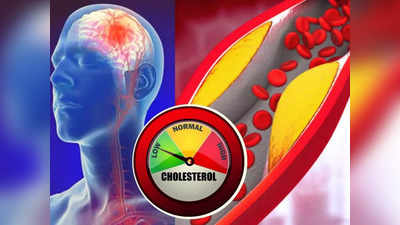 Foods for lowering cholesterol: കൊളസ്‌ട്രോള്‍ കുറയ്ക്കണോ? കഴിക്കാം ഈ ആഹാരങ്ങള്‍