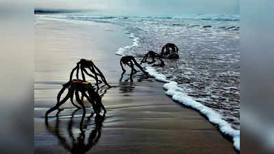 दक्षिण अफ्रीका के समुद्र तट पर दिखीं अजीब चीजें, लोग समझने लगे एलियंस