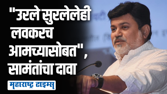 १० ते १२ आमदार मुख्यमंत्र्यांच्या संपर्कात, वर्षअखेरीस सोबत येतील; उदय सामंतांचे संकेत