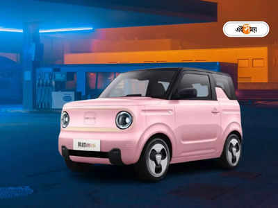 Geely Panda Mini EV: টাটা ন্যানোর থেকেও ছোট! এক চার্জে 150 km, দুর্দান্ত ডিজাইনে হাজির নতুন ইলেকট্রিক গাড়ি