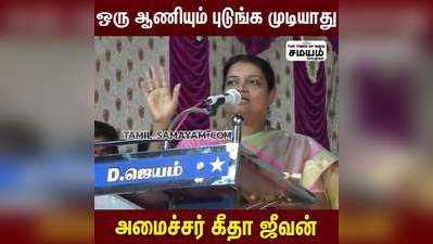 நாடாளுமன்ற தேர்தலில் திமுக கூட்டணி தான் 40க்கு 40 இடங்களை பெறும் - அமைச்சர் கீதா ஜீவன்