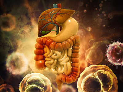 Poor Digestion And Gas: পরিপাকতন্ত্রকে উন্নত করবে এই ৬টি প্রতিকার, দূর হবে বদহজম ও কোষ্ঠকাঠিন্য