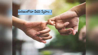 మసూర్ లేడని ఆగిన రామ్ గుండె.. మరణంలోనూ వీడని ‘స్నేహం’ 