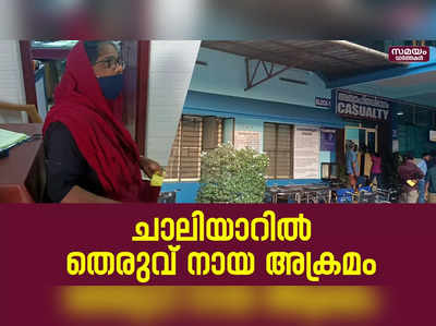 ചാലിയാർ പഞ്ചായത്തിൽ തെരുവ് നായയുടെ അക്രമം  Stray Dogs  Chaliyar