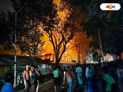 Kolkata Fire : ভবানীপুর সুইমিং ক্লাবে বিধ্বংসী আগুন, ঘটনাস্থলে দমকলের ৮টি ইঞ্জিন