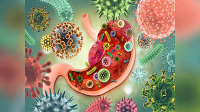 Gut Health : हेल्दी जेवणच बद्धकोष्ठता आणि अपचनाला जबाबदार, आठवणीने खा ५ प्रीबायोटिक फूड्स