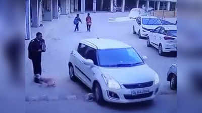 बेरहम ने मां के साथ खेल रहे कुत्ते को कार से कुचल डाला, गाजियाबाद की पॉश सोसाइटी हैरान करने वाला Video वायरल