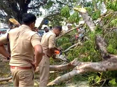 തൃശൂരില്‍ ശ്വാന പ്രദര്‍ശനത്തിനിടെ മരം കടപുഴകി വീണു; നാല് പേര്‍ക്ക് പരിക്ക്‌