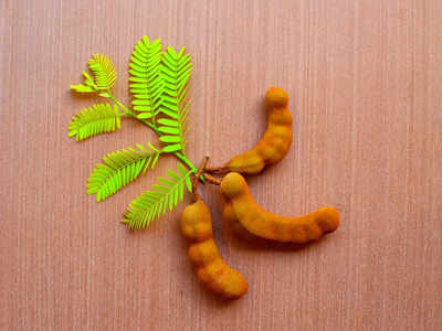 Tamarind Tree Superstition: ಹುಣಸೆ ಮರದಲ್ಲಿ ನಿಜವಾಗಿಯೂ ದೆವ್ವ - ಭೂತಗಳಿವೆಯೇ..?