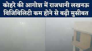 Lucknow Weather: चारो ओर धुंध से मुसीबत, लखनऊ में घने कोहरे के कारण रेंगते दिखे वाहन